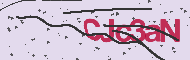 Captcha認証コード