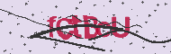 Captcha認証コード